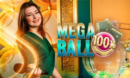 Bingo rules and guide book